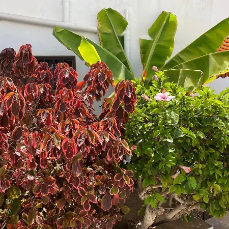 Deluxe Perla Del Sur *